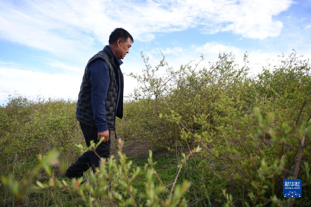 捕鱼游戏赚钱方法